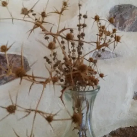 Holiday home Paros Traditional Windmill